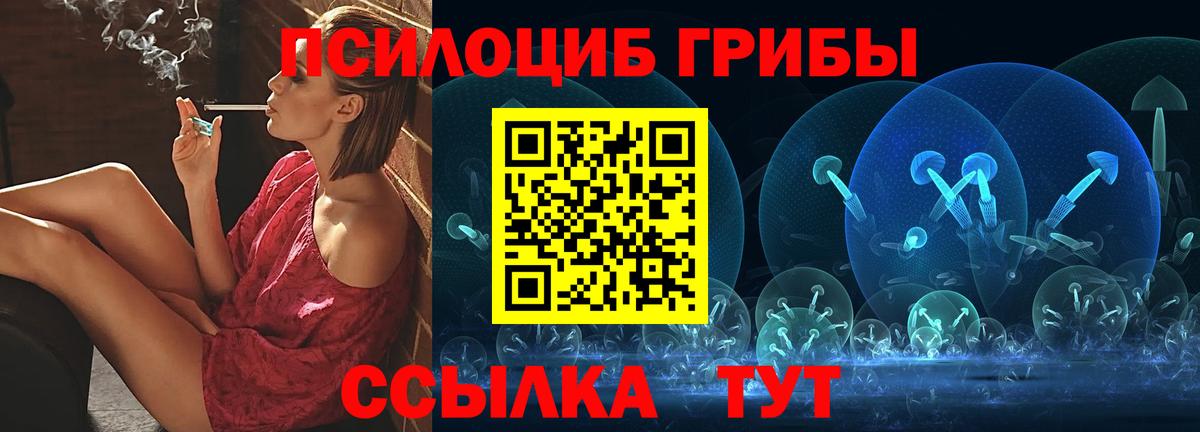 Псилоцибиновые грибы мухоморы  Псилоцибиновые грибы Psilocybine cubensis  Улан-Удэ  где купить наркоту  Вход с VPN 