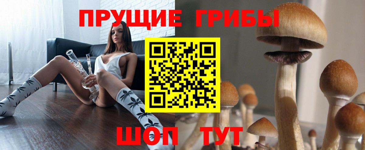 Псилоцибиновые грибы Psilocybine cubensis Улан-Удэ